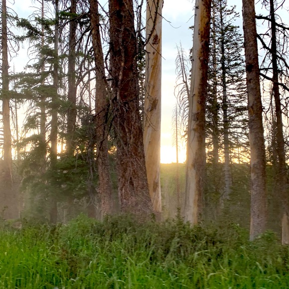 Meet your Posher, Crystal - Picture 6 of 6